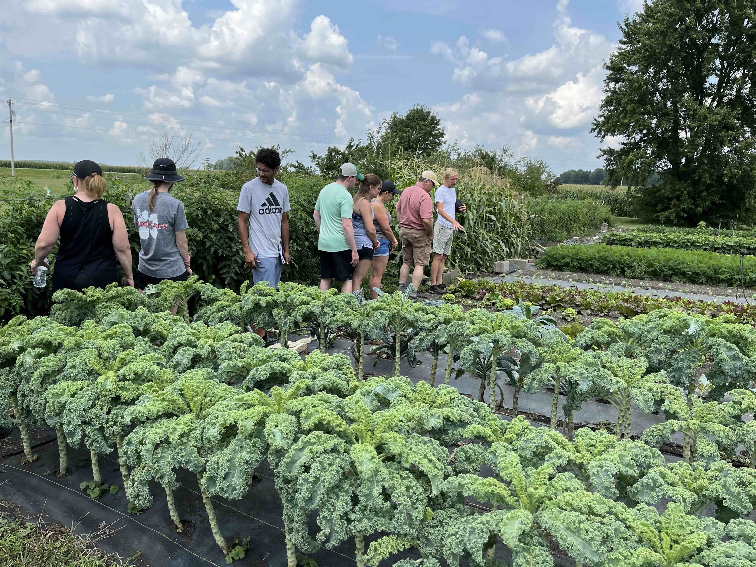 Tour at BroxonBerry